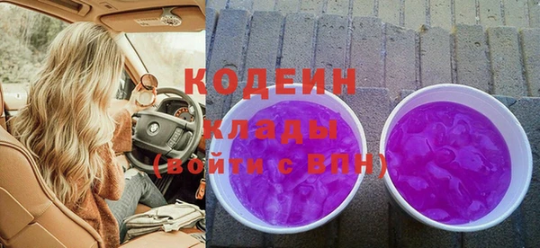 прущие грибы Сосновый Бор