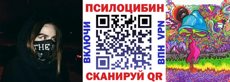 Псилоцибиновые грибы мицелий  блэк спрут   Ершов  как найти наркотики 
